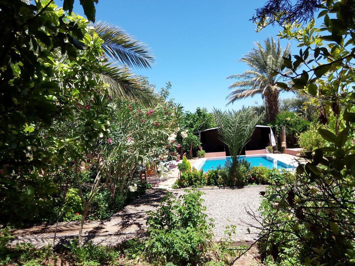 Bed and Breakfast Bassatine Skoura Exterior foto